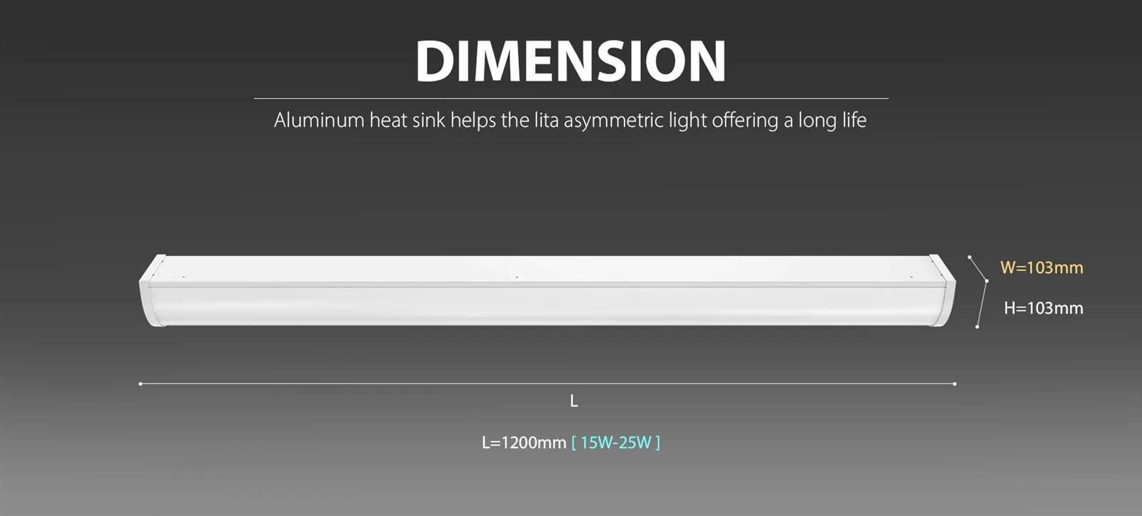 Lita Asymmetric -3