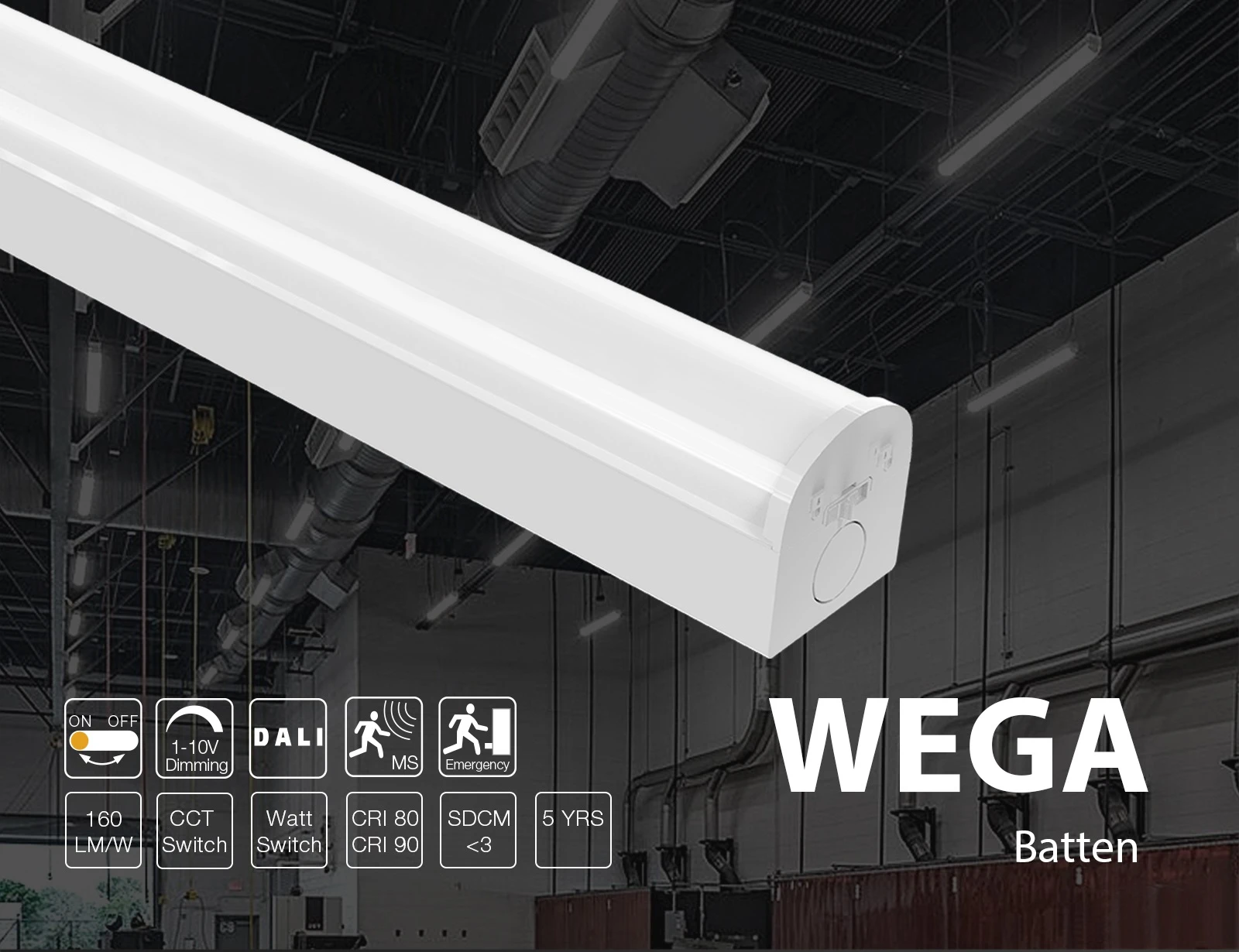 Wega01 Wega01